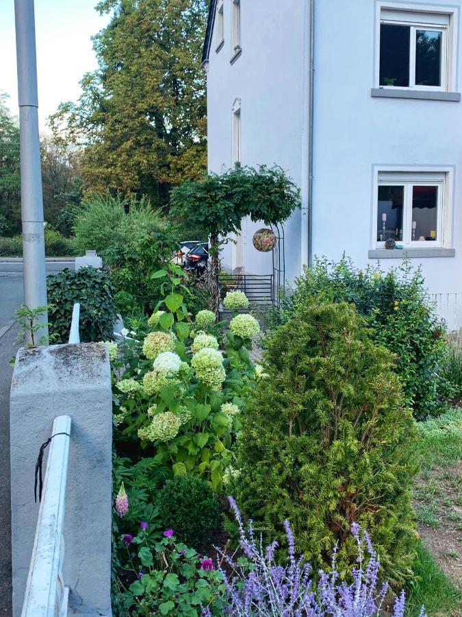Sascha'S Home Saarlouis Exterior photo